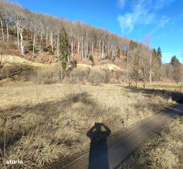 Teren Intravilan 1150mp, Timisu de Jos, Dambul Morii - 3