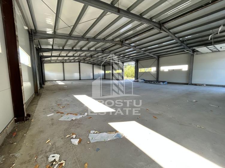 Hala noua de inchiriat 550 mp, birouri, parcare, Sacalaz. - 3