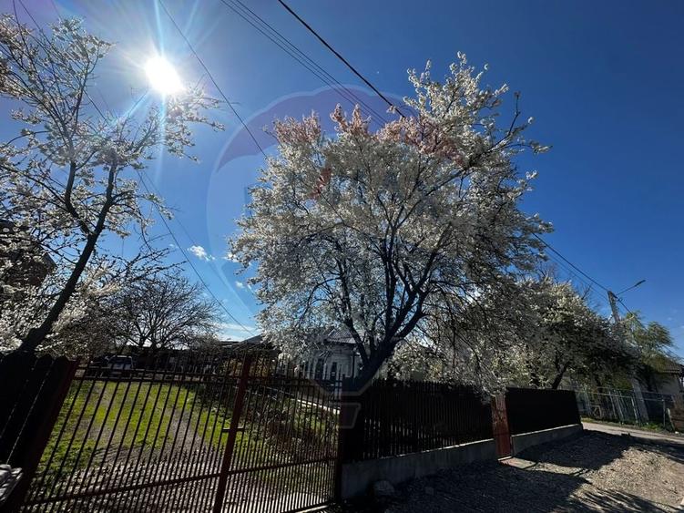 Casă de de vânzare Tartasesti - 3