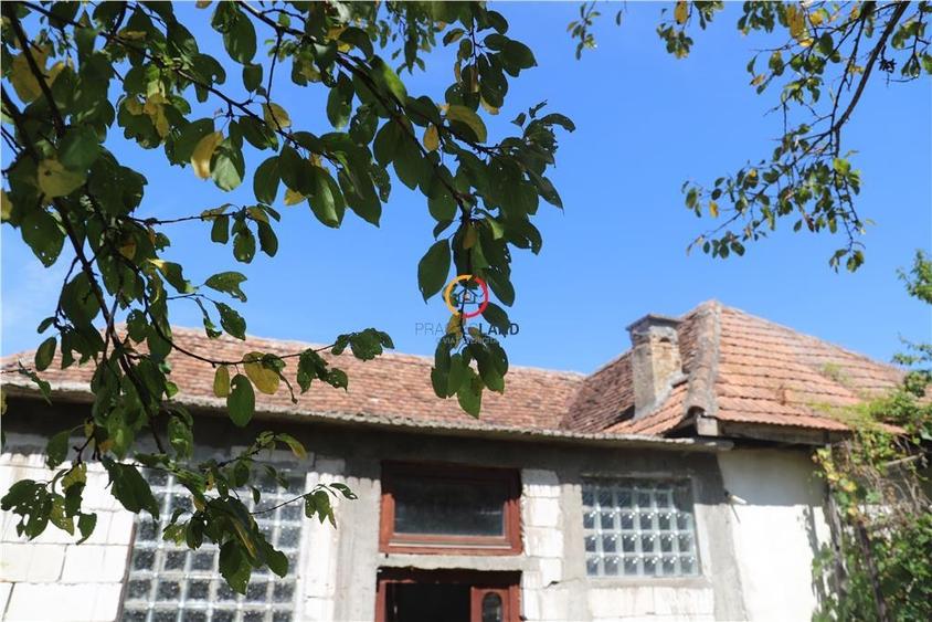 Casă individuală cu 3 camere cu Teren 2556 Mp în Bruiu