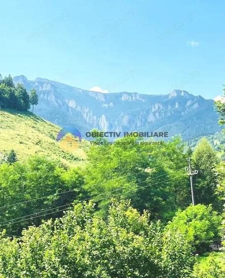 TEREN Izvoru Muntelui, langa orasul BICAZ - 6