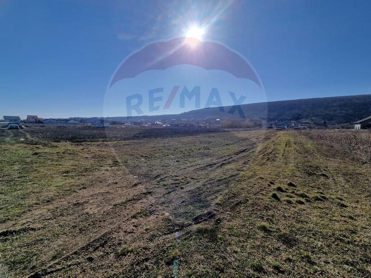 Teren Intravilan de Vânzare în Hemeiuș - 3