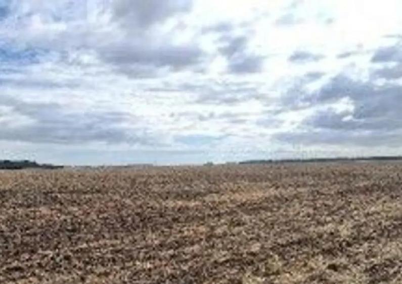 Teren extravilan Branesti, ID: R2649181 - 3