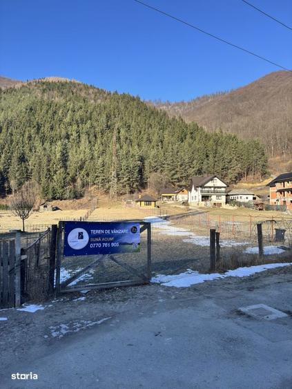 Teren de exceptie in Rucar, aproape de Brasov intimitate, natura s - 5