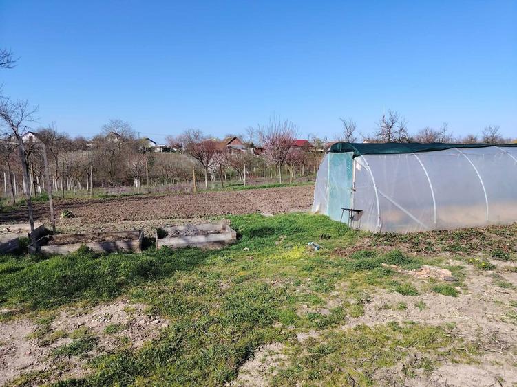 Vand casa in satul Ianova, la 20 km de Timisoara - 1