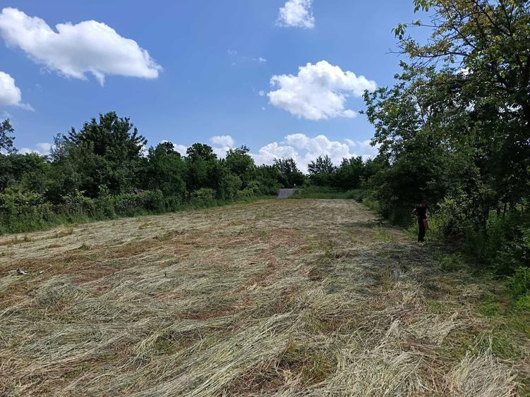 Teren de vanzare intravilan Baia Sprie - 2