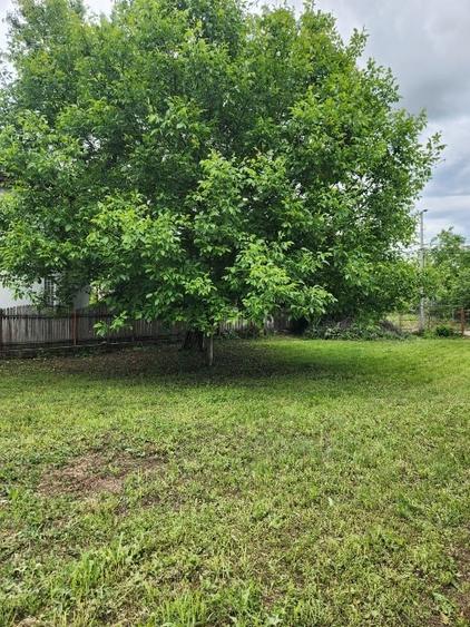 teren de vanzare- regim inaltime S+P+4E - 10