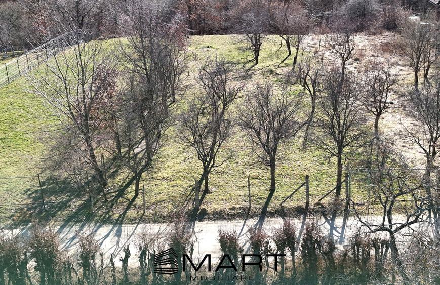 Teren intravilan 1000mp Tropinii Noi - 7