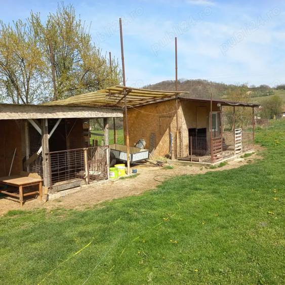 Vand casa Lozna jud Salaj - 7