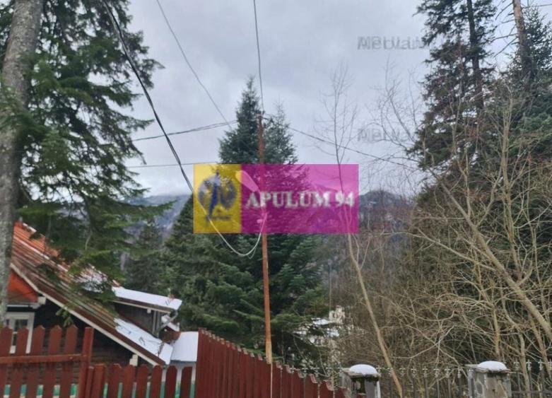 Vilă de vânzare in Sinaia - Zona Cumpătu - 3