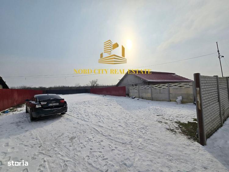 Teren Ganeasa | sat Piteasca - 3