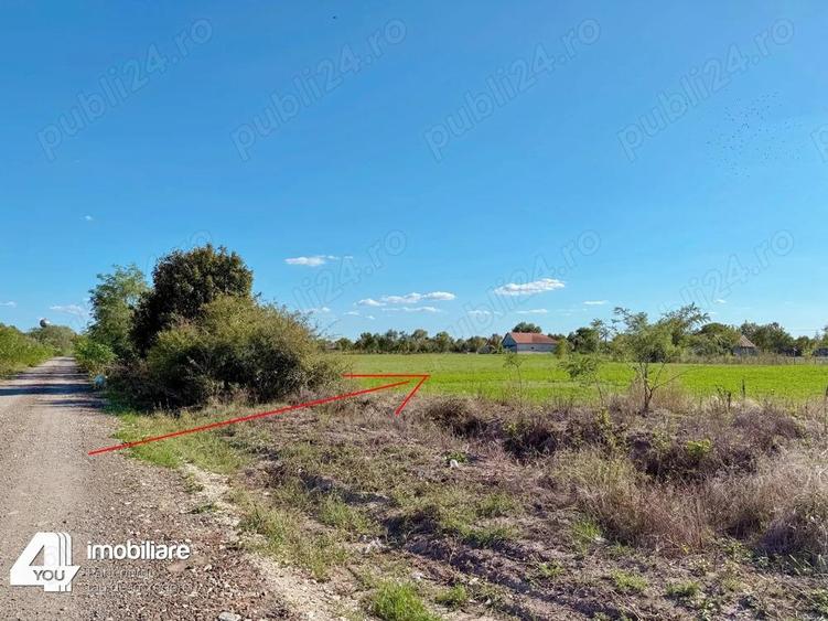 Terenuri intravilane 2880 mp Cermei fs.48 ml - 6350 euro - 2