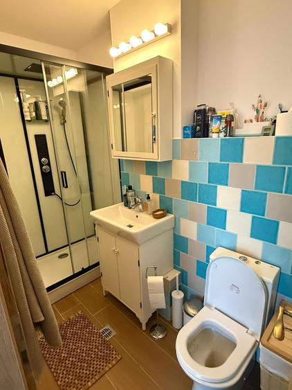 Unirii  Piata Alba Iulia Casa/Vila de vanzare - 17