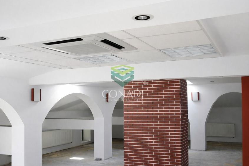 Zona Dorobanti- Aviatorilor, vila speciala de inchiriat,  710 mp utili - 7