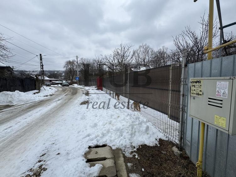Casa batraneasca in Crihan/Magura | de vanzare - 3