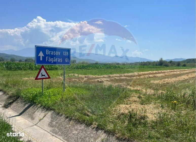 Teren pentru Dezvoltare 14.800 mp -Vestem - 4