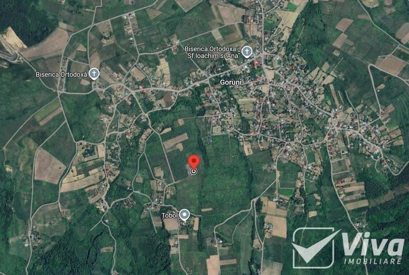 Teren 5300 mp Intravilan in Goruni – Tomesti - 2