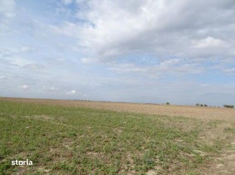 Teren extravilan Scurtu Mare, ID: R2928611 - 5
