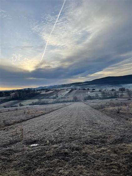 RECO teren Vadu Crisului - 3