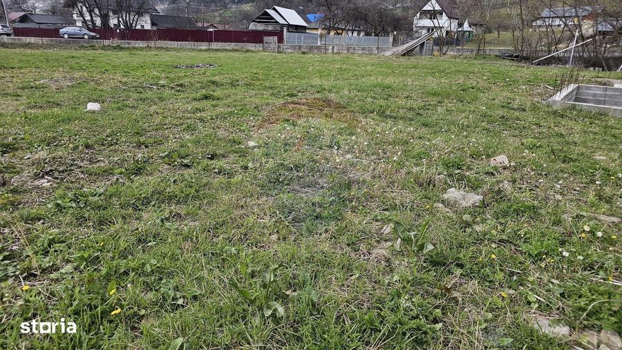 Teren 1,520mp Hangu / Strada Principala - 6