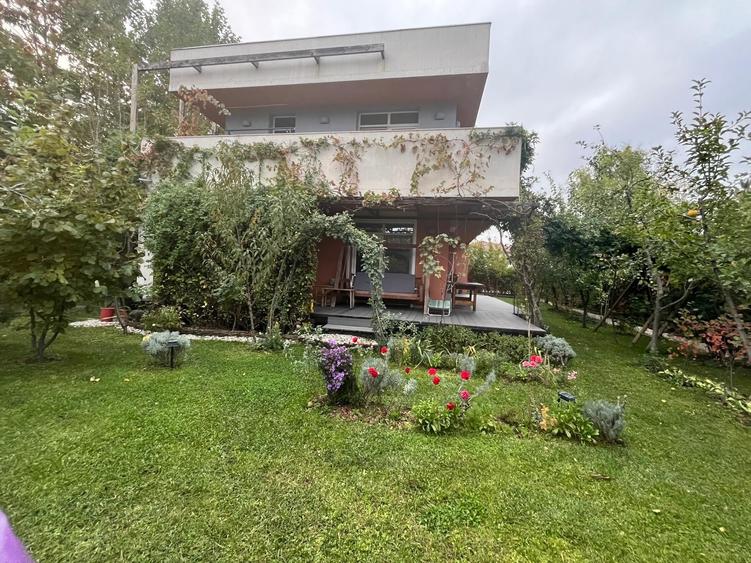 Vila Corbeanca - Laguna Albastra - 23