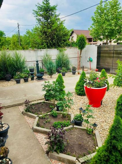 Parter cu structură pentru etaj, curte amenajată și organizare impeca - 5