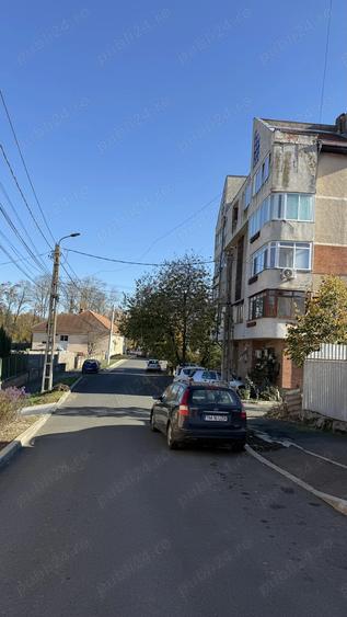 Buzias apartament cu 1 camera - 2