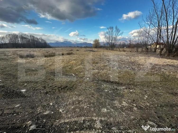 Teren 8000 mp, zona Pestisani - 3