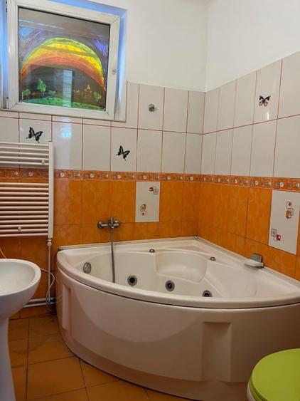 Stirbei Voda, stradal-Schitu Magureanu-Cismigiu, - 9