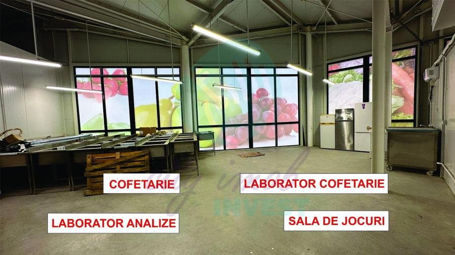 Spatii comerciale de inchiriat in PIATA DELFINULUI - 1