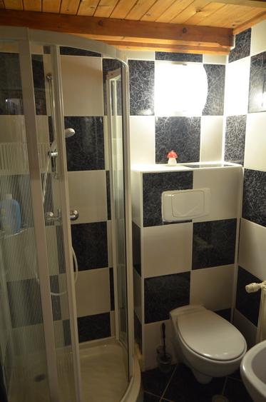 Busteni-Casa ta la munte te asteapta - 6