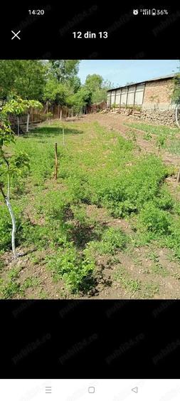 Casa de vanzare in Suplacu de Barcau. - 4