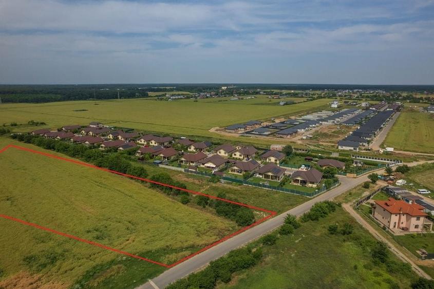 Teren intravilan, Balotești, Strada Cameliei 36, 10.000 mp - 3