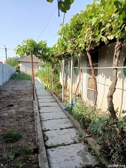 Casa batraneasca de vanzare in Sulina - 2