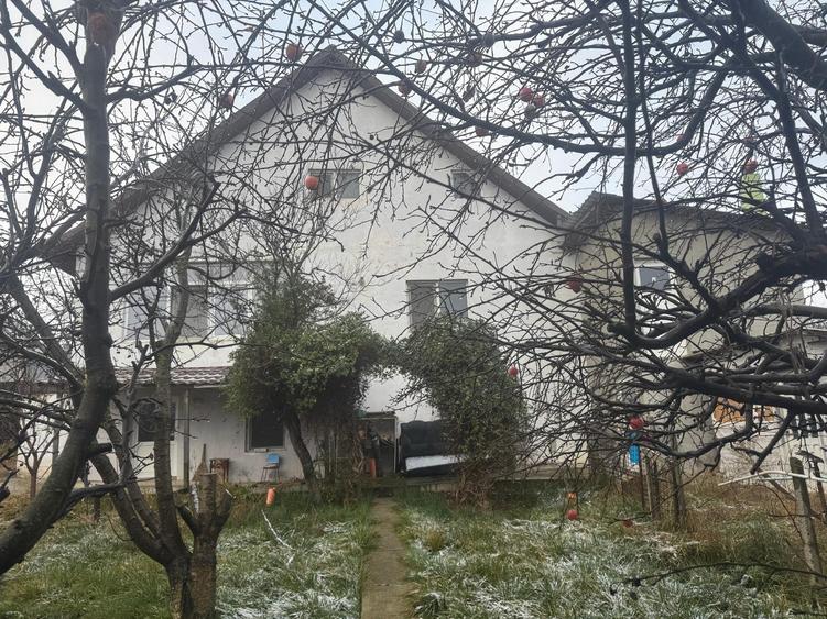 Tomesti - Osoi, vila cu spatiu comercial la parter , 2400mp teren cu iaz si pomi - 10