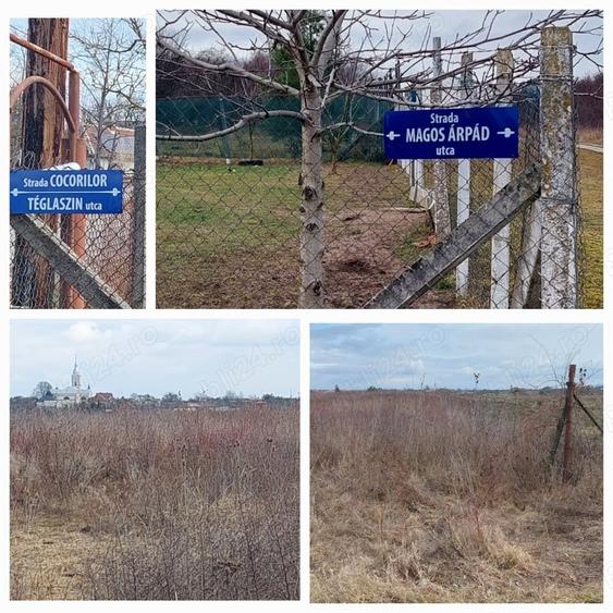Teren de 6670 mp, în Viile Satu Mare