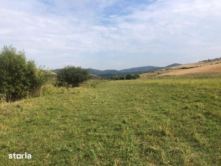Teren de 21500 mp, în Iara