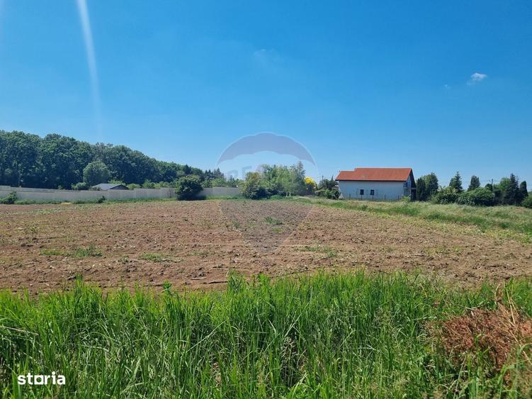 Spațiu comercial, în Ciofliceni