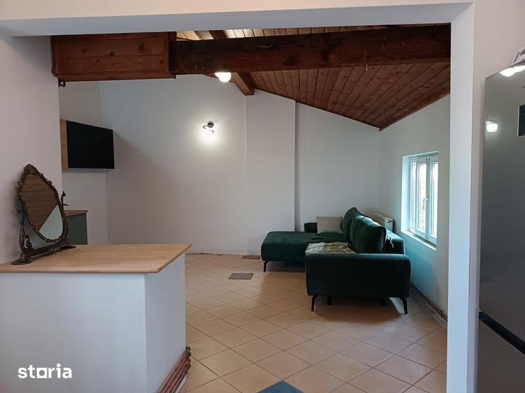 3 camere/Cismigiu/Stirbei Voda - 5