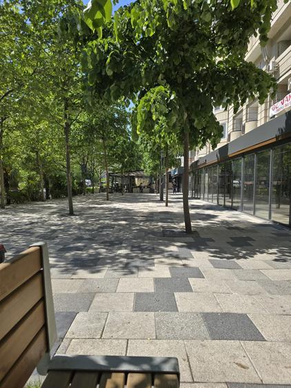 Apartament cu 2 camere decomandat în Decebal