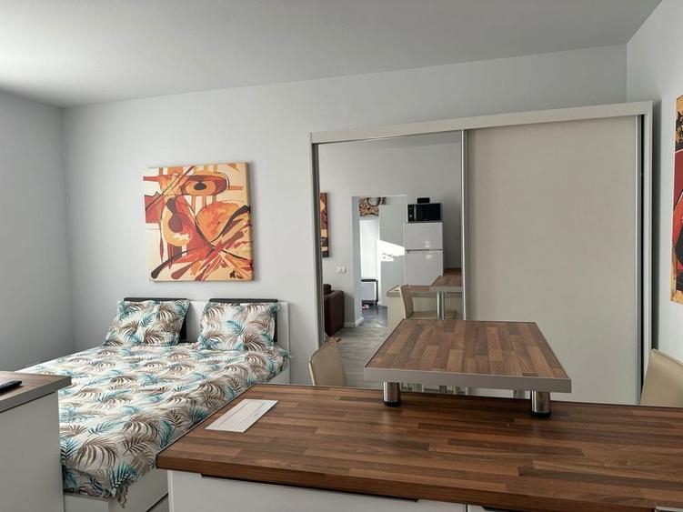 Oferim inspre inchiriere studio in Ghimbav pet friendly - 1