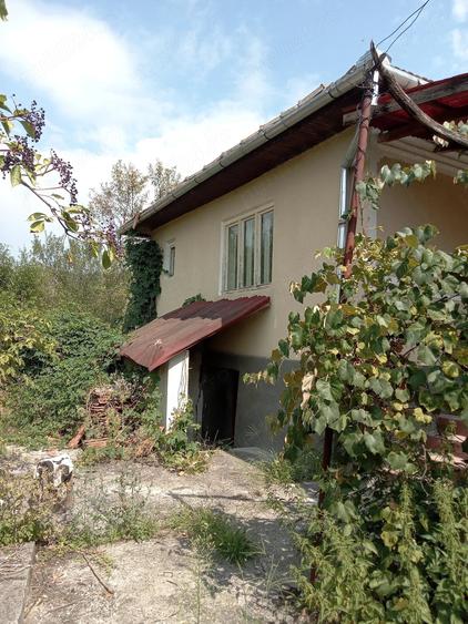 Casă cu 3 camere cu Teren 2500 Mp în Ciocmani