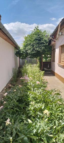 Casă cu 4 camere cu Teren 1507 Mp în Dudeștii Vechi