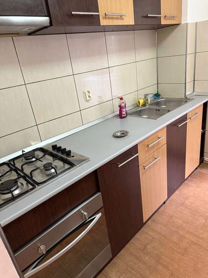 Apartament 2 camere, Parter, Banat - 6