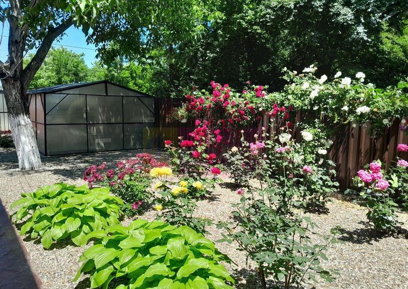 Movilita (IL) - de vanzare casa 5 cam p+1 - 9