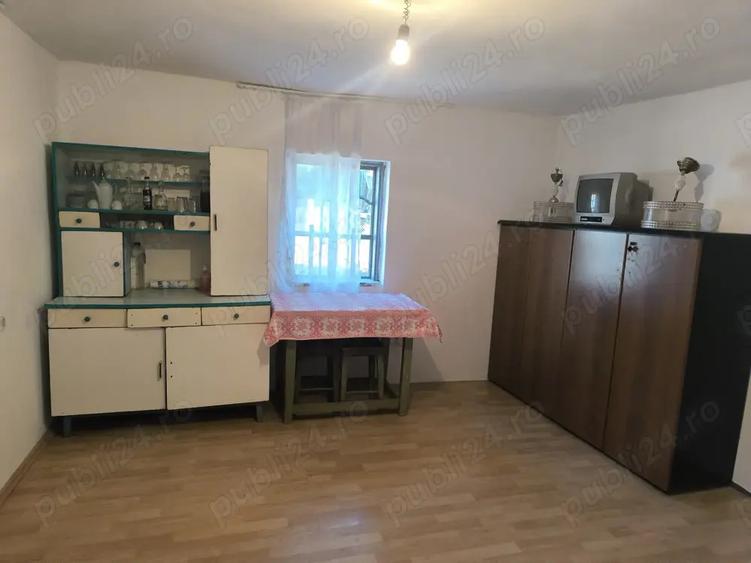Gospodarie in Jud. Valcea, com. Pe?ceana, sat Ursoaia, 2 case ?i anexe - 8