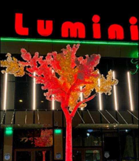 Restaurant Ballroom - Casa Luminita - Theodor Pallady - 4