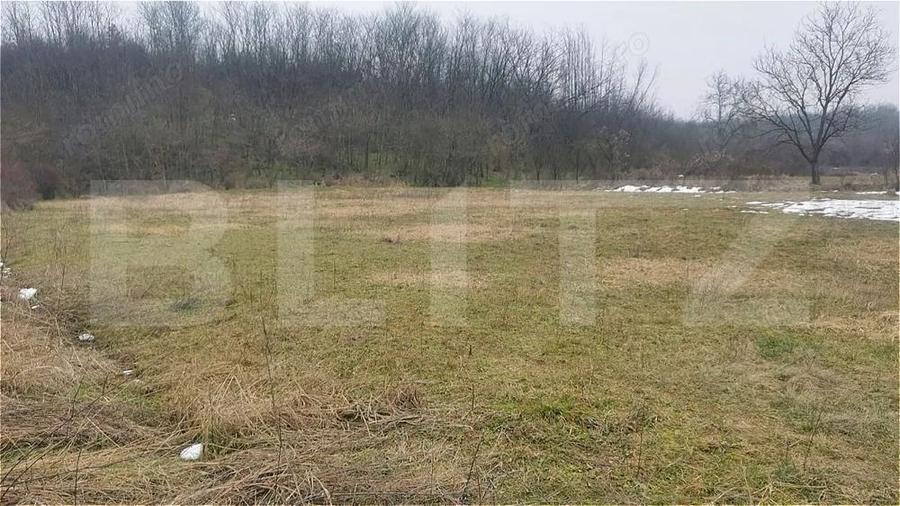 Teren 2.700 mp cu deschidere 22 ml lini?te, natura ?i acces rapid la ora? - 6