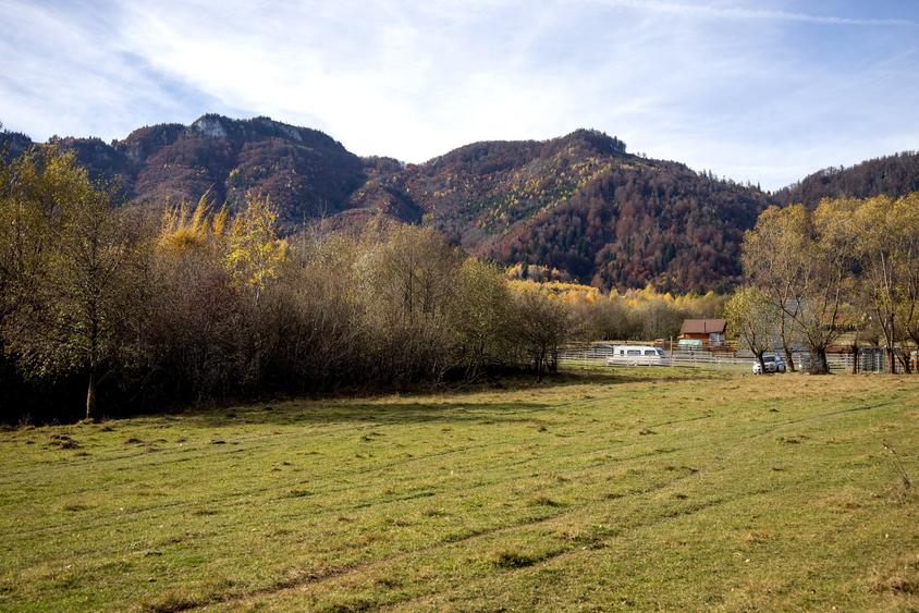 Teren intravilan 5723mp Zarnesti Tohanita- case de vacanta,investitie in turism - 10