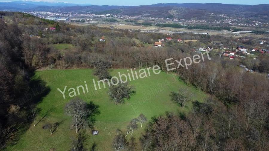 Teren 13.643 mp intravilan de vanzare in Curtea de Arge?. - 11
